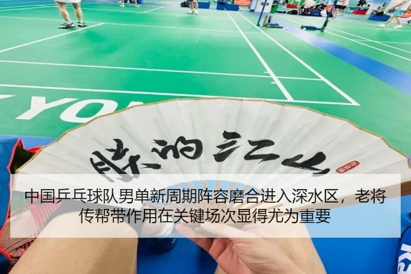 中国乒乓球队男单新周期阵容磨合进入深水区，老将传帮带作用在关键场次显得尤为重要